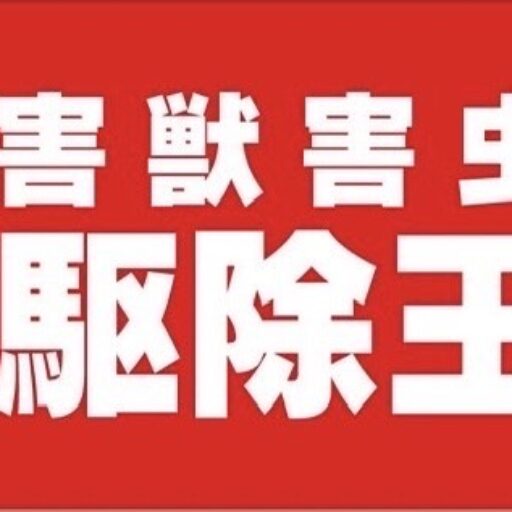 素人が０からはじめるシロアリ防除対策