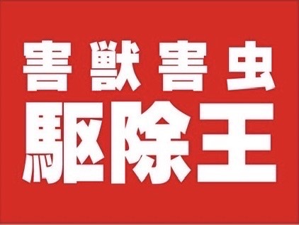 米国・日本のコウモリ被害と駆除方法｜住宅への侵入対策ガイド