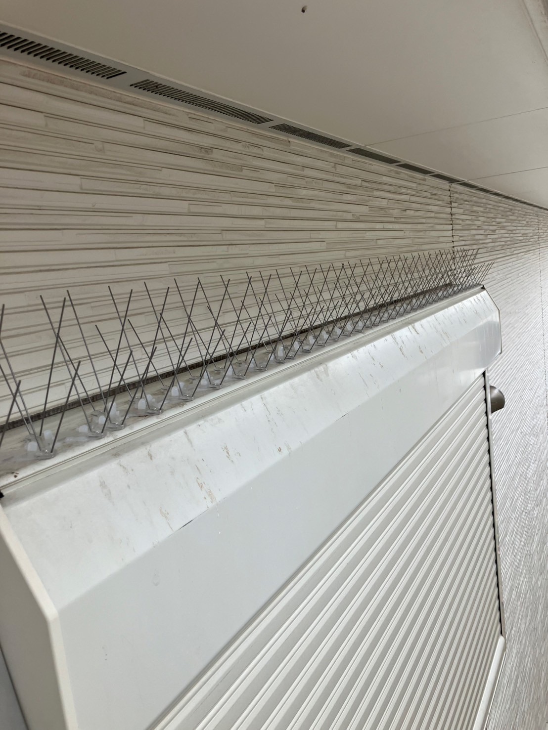 奈良県磯城郡にて鳩被害防除対策