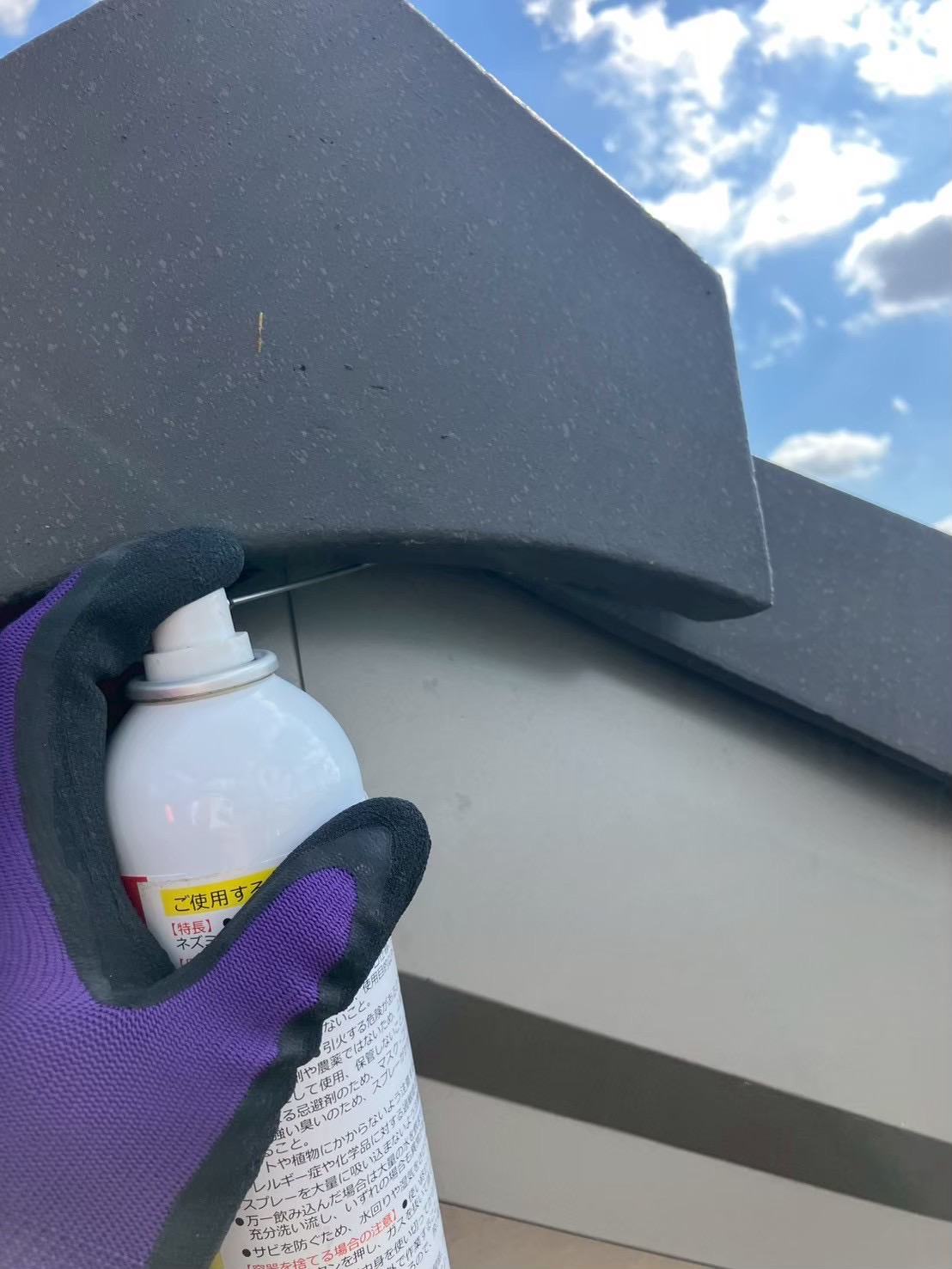 和歌山県和歌山市にてコウモリ被害防除対策