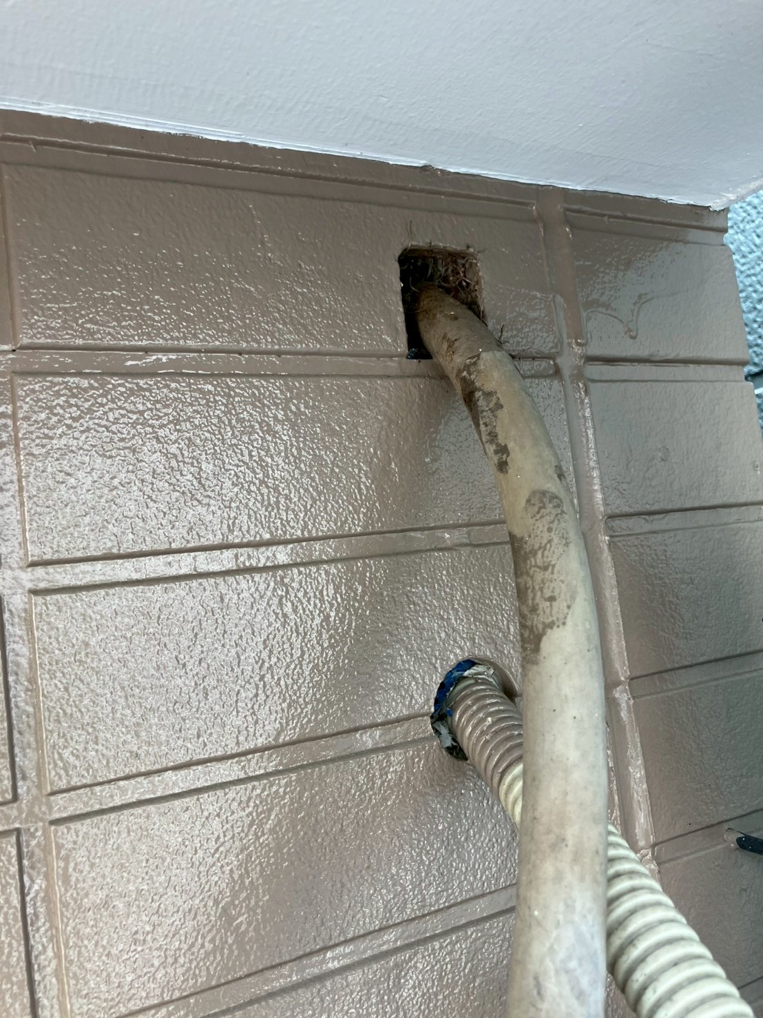 愛知県名古屋市にてネズミ被害駆除防除対策