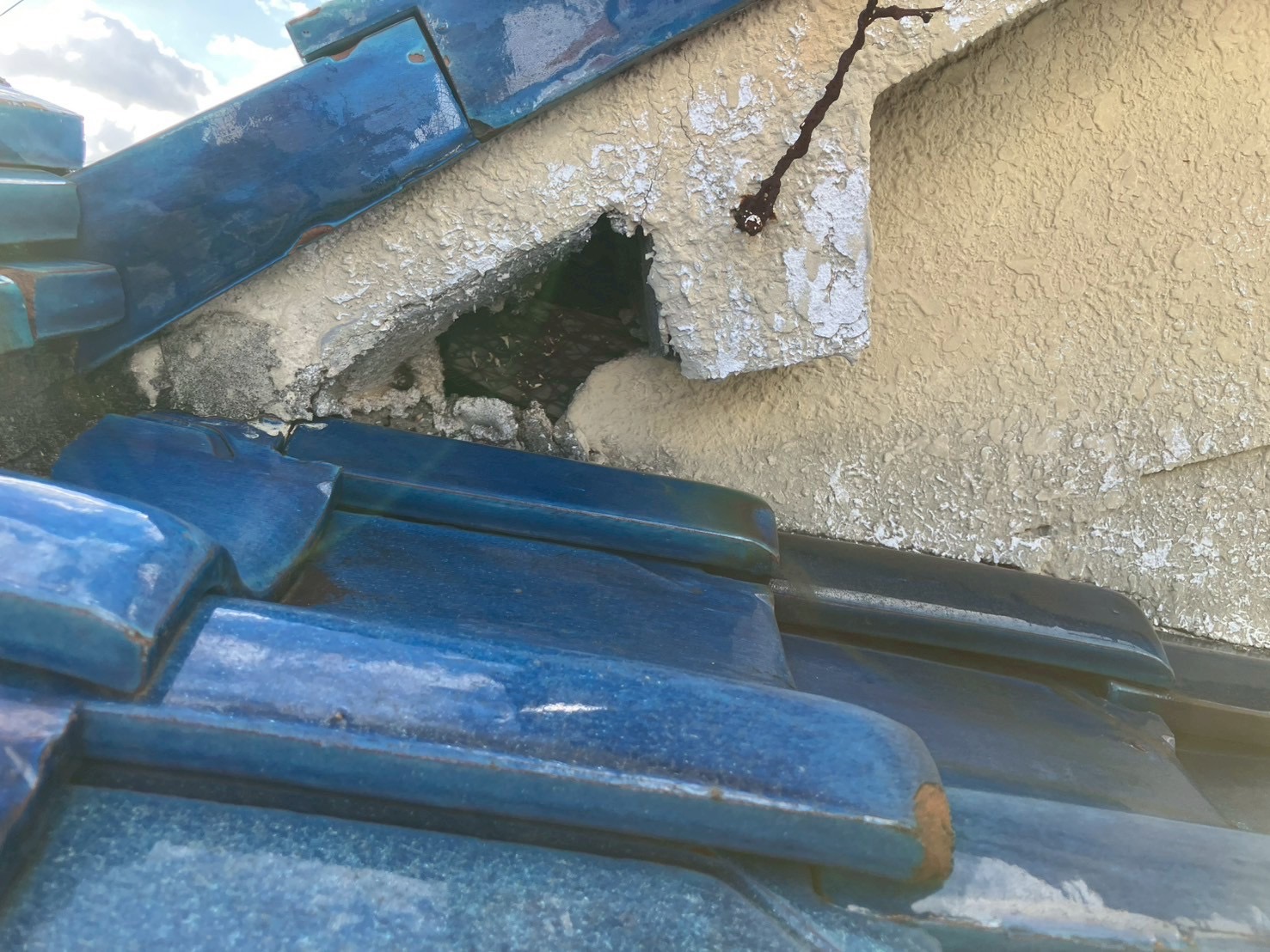 大阪府四條畷市にてネズミ被害駆除防除対策