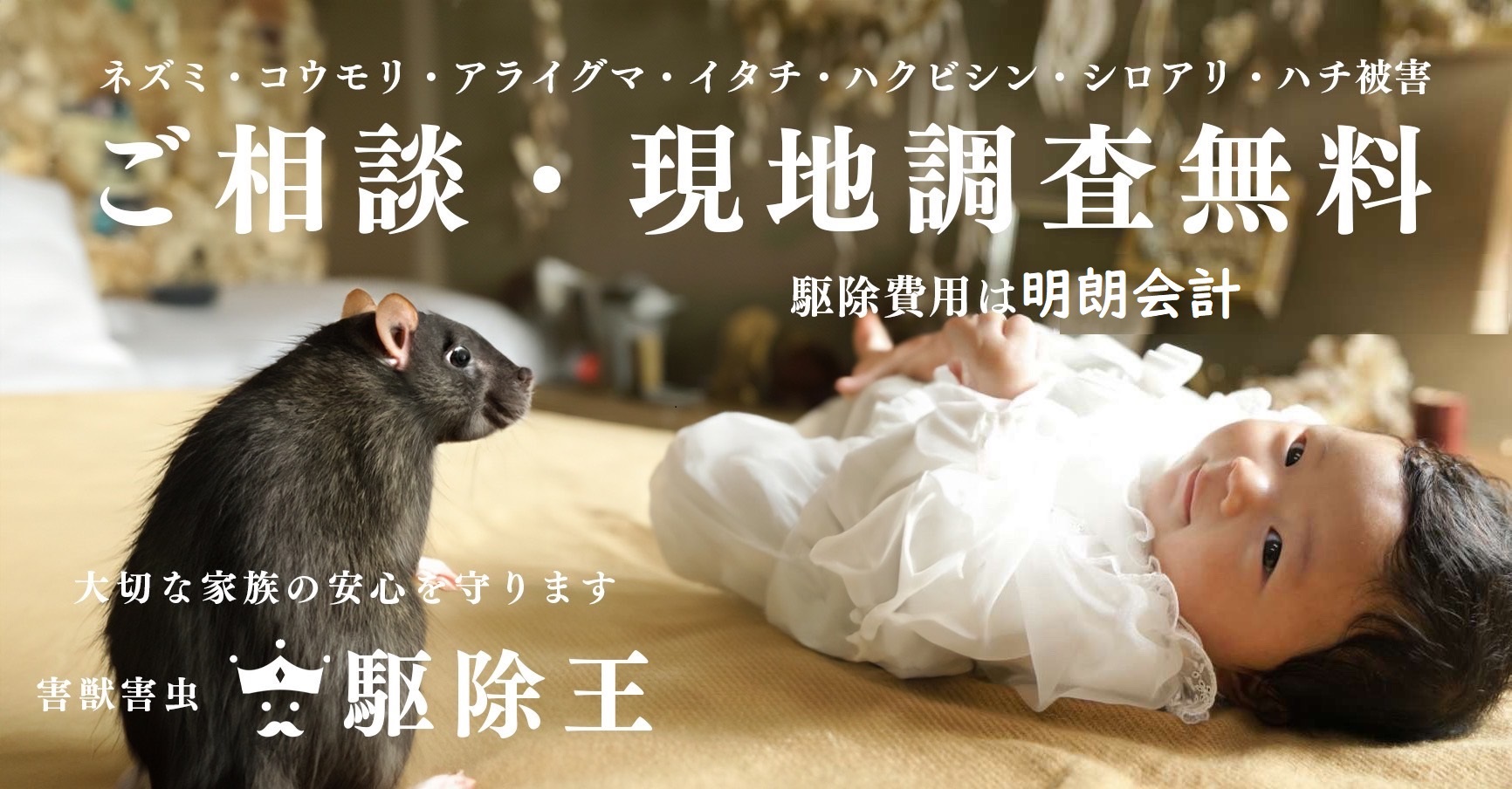 【飲食店向け】ゴキブリ対策プラン