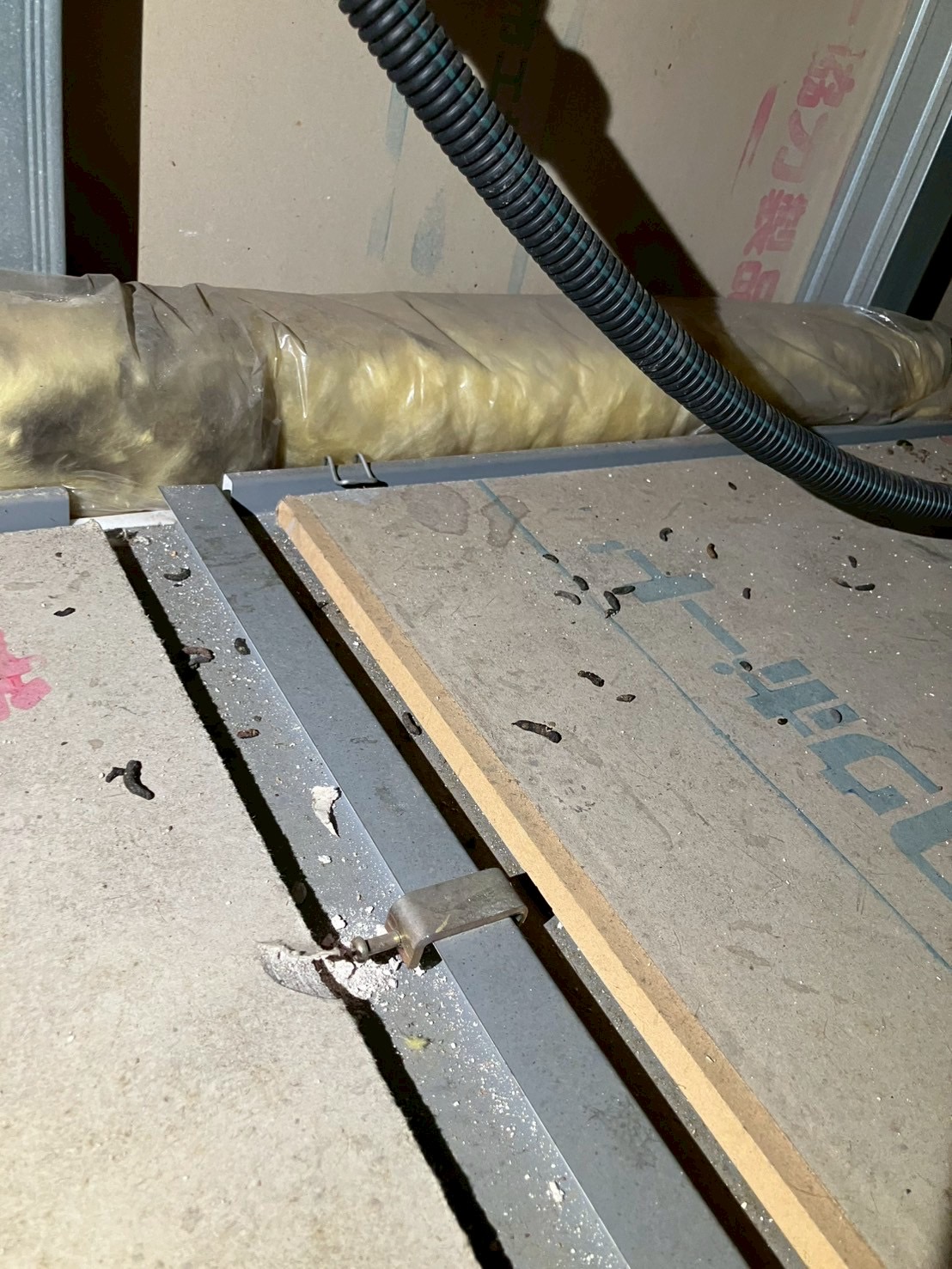 愛知県瀬戸市にてネズミ・イタチ被害駆除防除対策