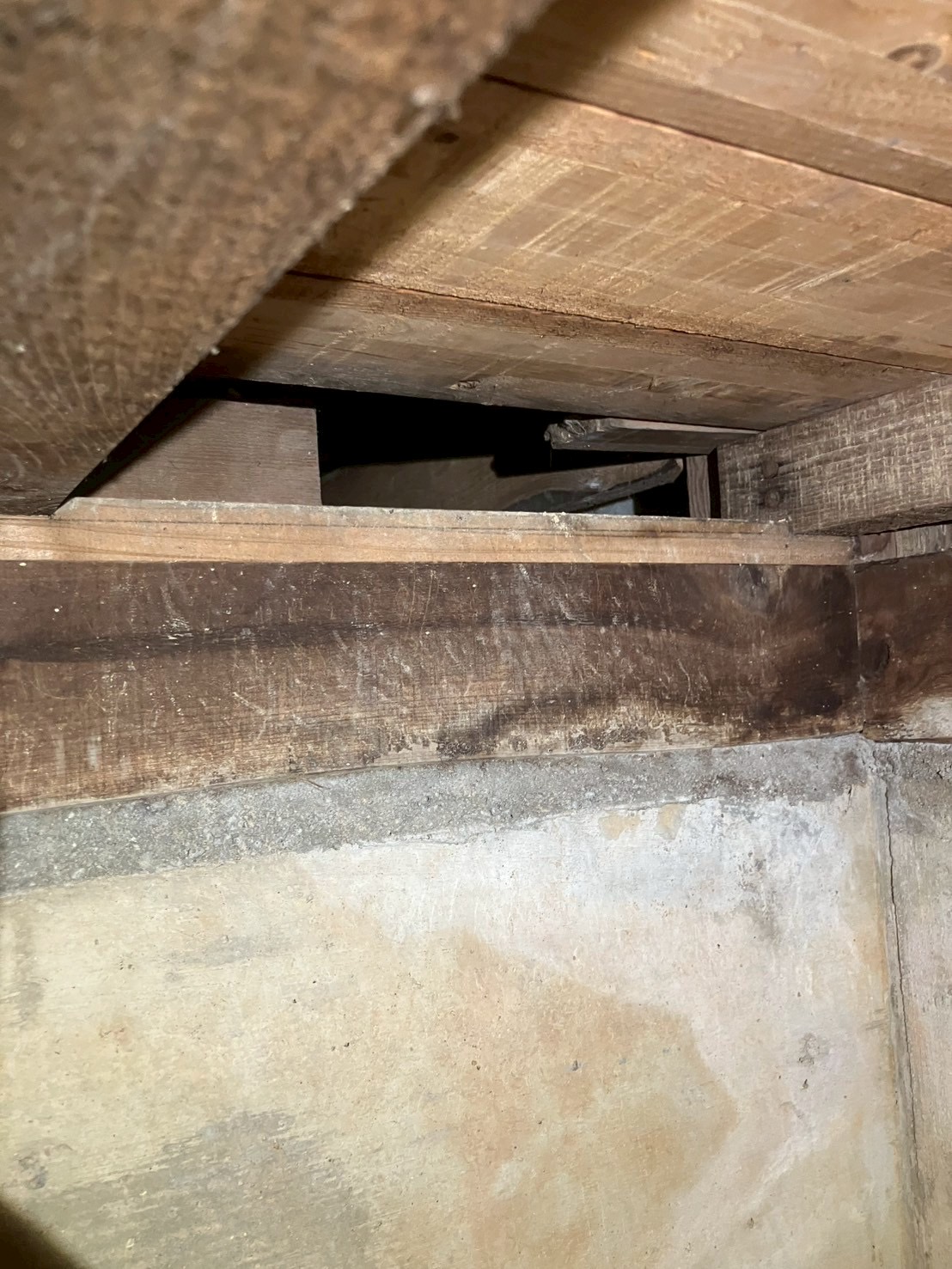 奈良県天理市にてイタチ・ネズミ被害駆除防除対策