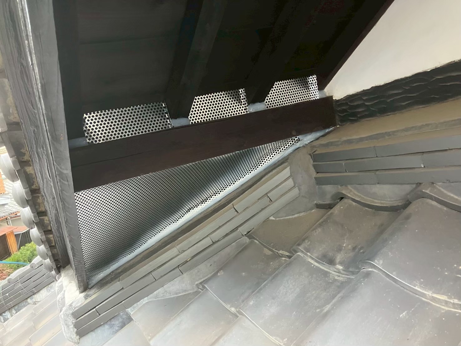 大阪府大東市にてネズミ被害駆除防除対策