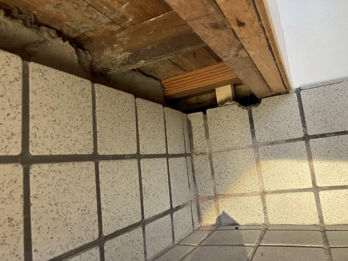 大阪府門真市にてネズミ被害駆除防除対策