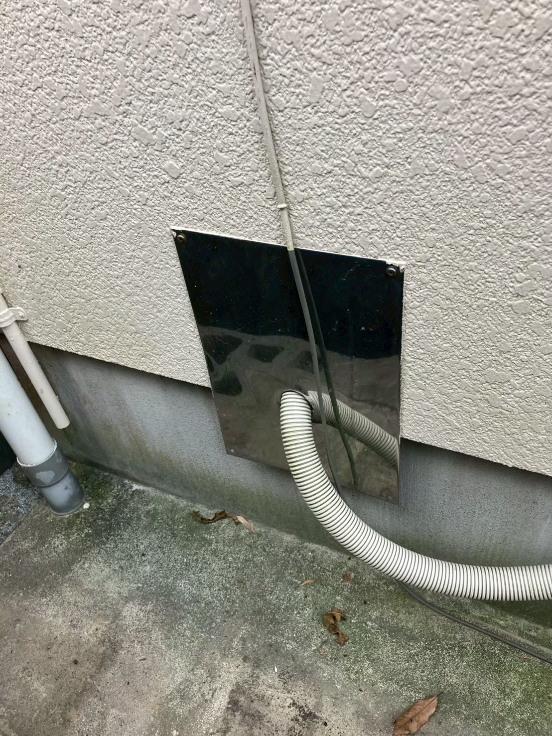 埼玉県川越市にてネズミ被害駆除防除対策