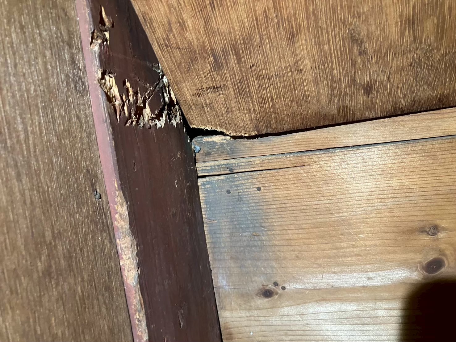 愛知県長久手市にてネズミ被害駆除防除対策