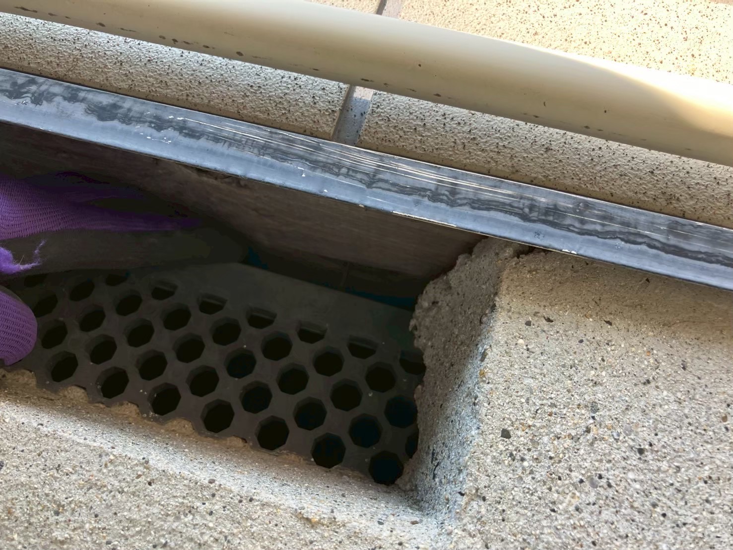 大阪府大阪市にてネズミ被害駆除防除対策