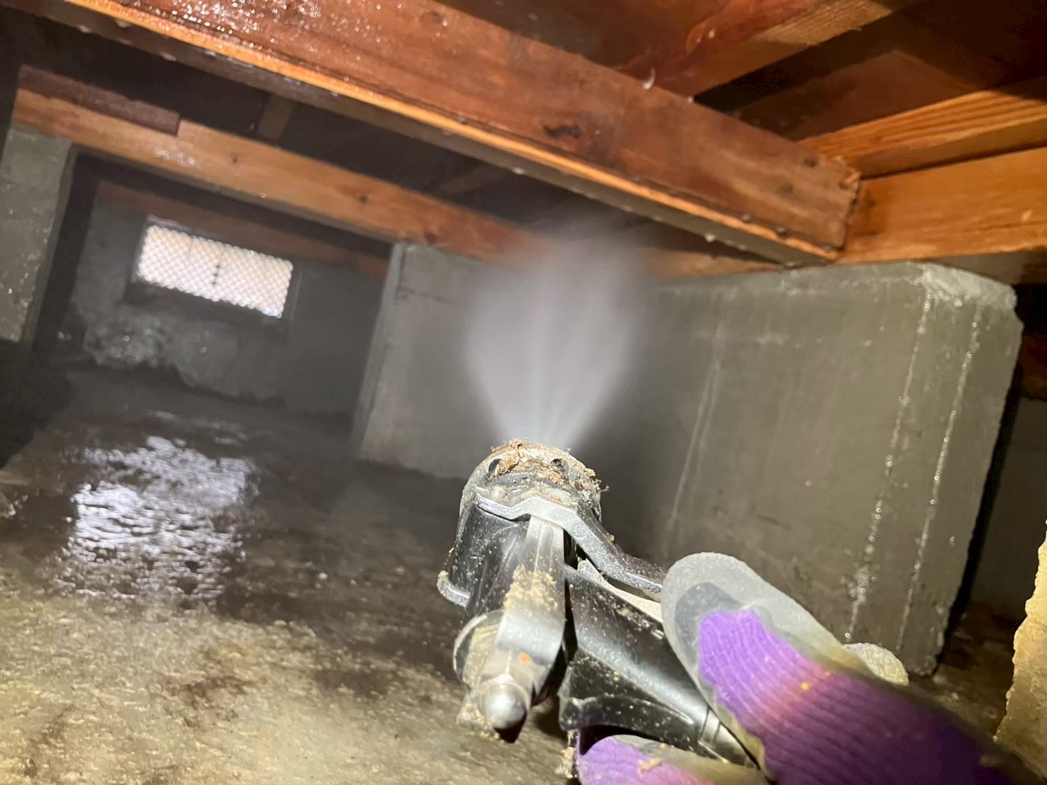 大阪府東大阪市にてシロアリ駆除防除対策