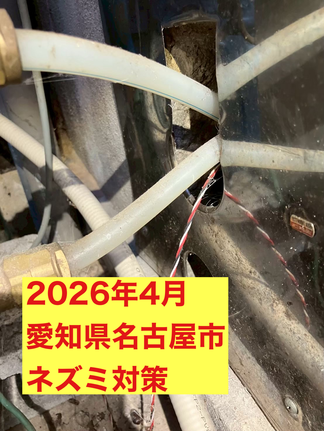 愛知県名古屋市にてネズミ被害駆除防除対策