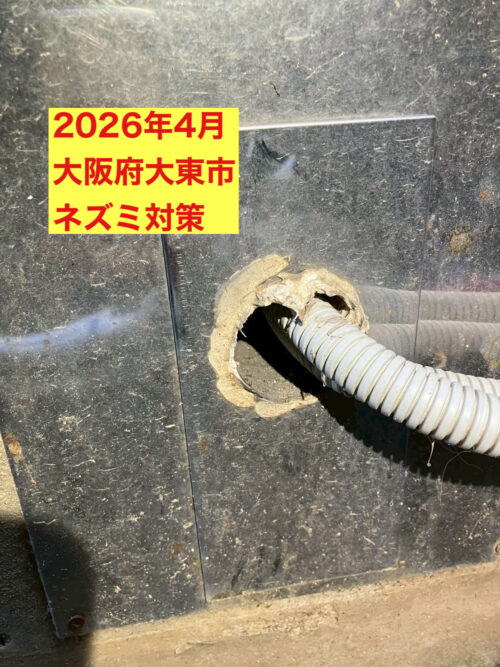 大阪府大東市にてネズミ駆除防除対策