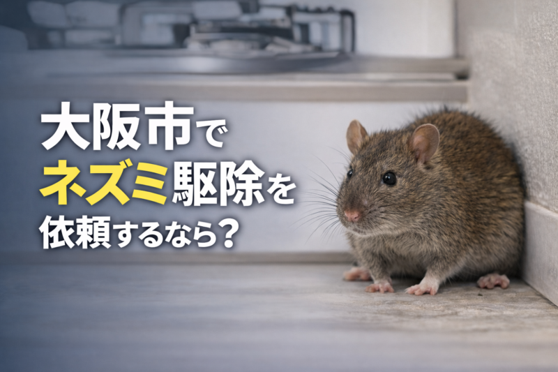 大阪市でネズミ駆除を依頼するなら？被害の特徴・費用相場・業者選びを解説